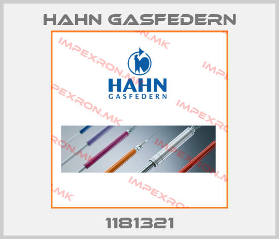 Hahn Gasfedern Europe