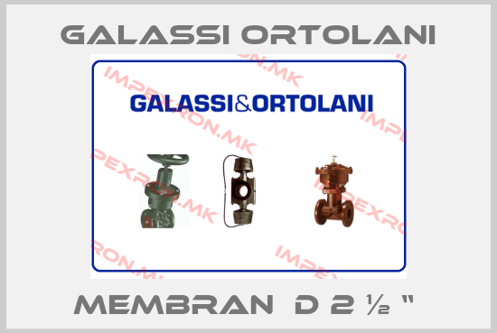 Galassi Ortolani Europe