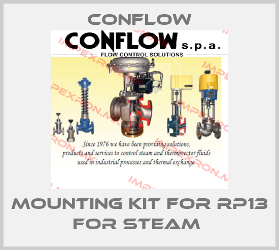 CONFLOW-Mounting kit for RP13 for steam price