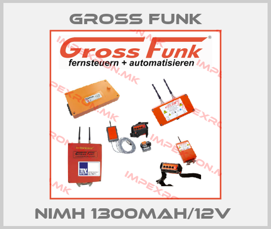 Gross Funk Europe