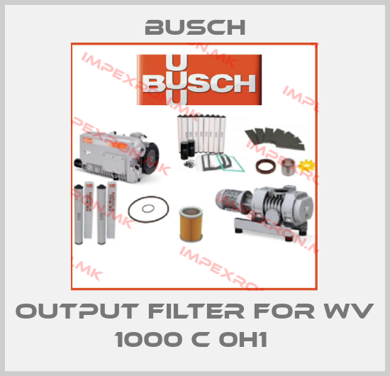 Busch-Output filter for WV 1000 C 0H1 price