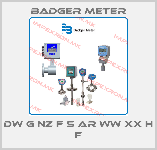 Badger Meter-DW G NZ F S AR WW XX H Fprice