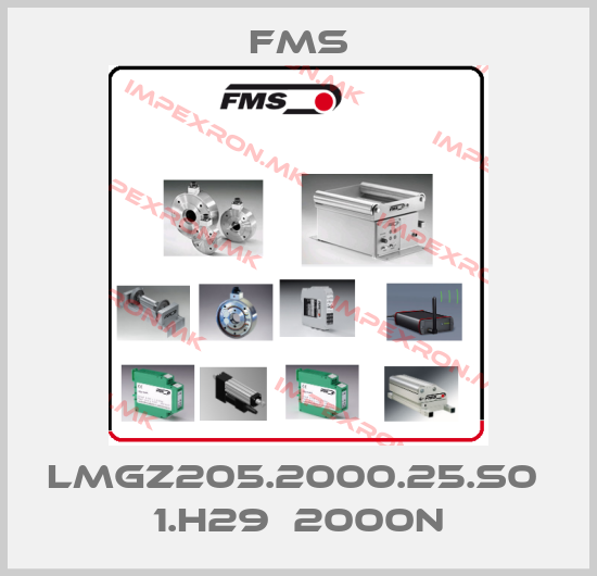 Fms-LMGZ205.2000.25.S0  1.H29  2000Nprice