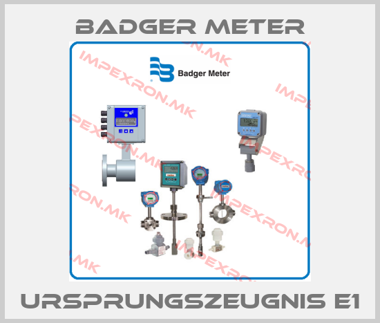 Badger Meter-Ursprungszeugnis E1price