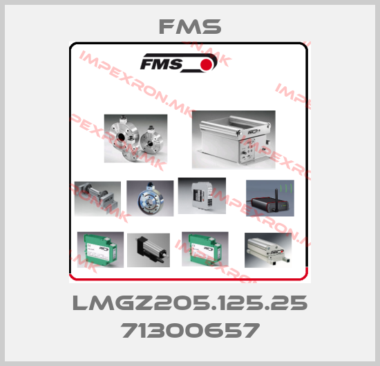 Fms-LMGZ205.125.25 71300657price