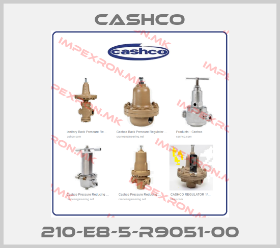 Cashco-210-E8-5-R9051-00price