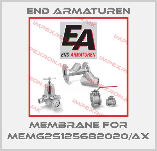 End Armaturen-Membrane for MEMG2S125682020/AXprice