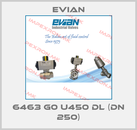 Evian-6463 G0 U450 DL (DN 250)price