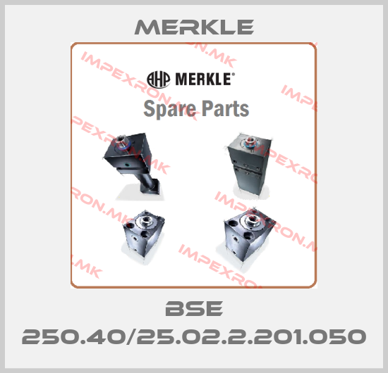 Merkle-BSE 250.40/25.02.2.201.050price