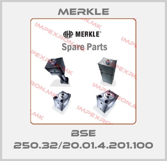 Merkle-BSE 250.32/20.01.4.201.100price