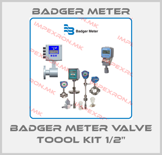 Badger Meter-Badger Meter Valve Toool Kit 1/2"price