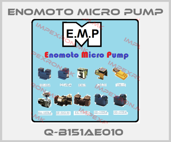 Enomoto Micro Pump Europe