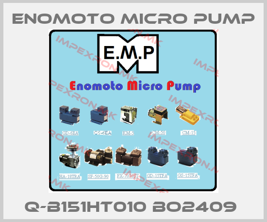 Enomoto Micro Pump Europe