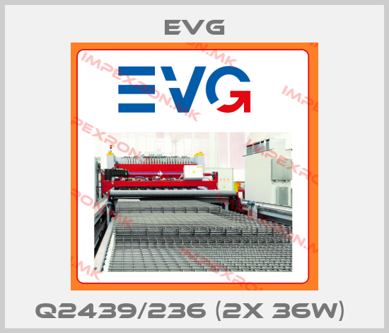 Evg Europe