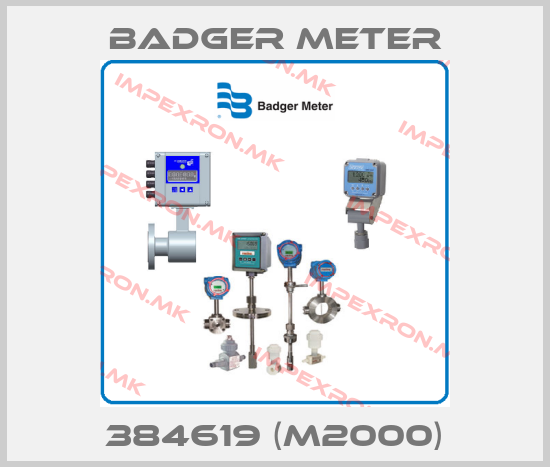 Badger Meter-384619 (M2000)price