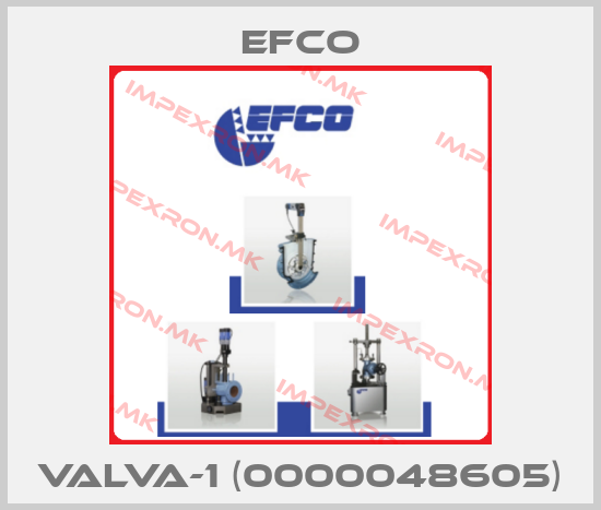 Efco-VALVA-1 (0000048605)price