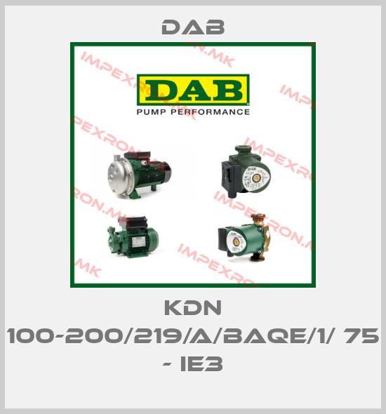 DAB-KDN 100-200/219/A/BAQE/1/ 75 - IE3price