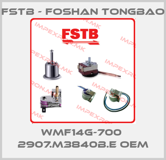 FSTB - Foshan Tongbao Europe