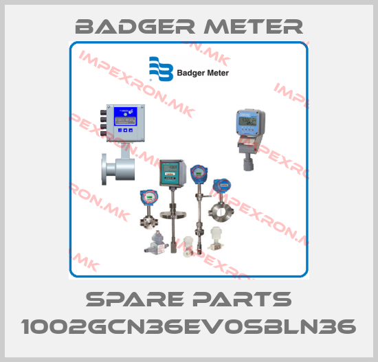 Badger Meter-Spare parts 1002GCN36EV0SBLN36price