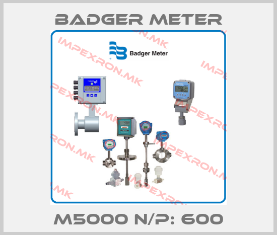 Badger Meter-m5000 N/P: 600price