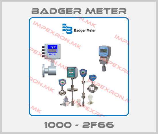 Badger Meter-1000 - 2F66price