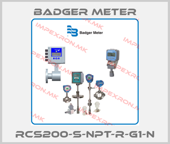 Badger Meter-RCS200-S-NPT-R-G1-Nprice