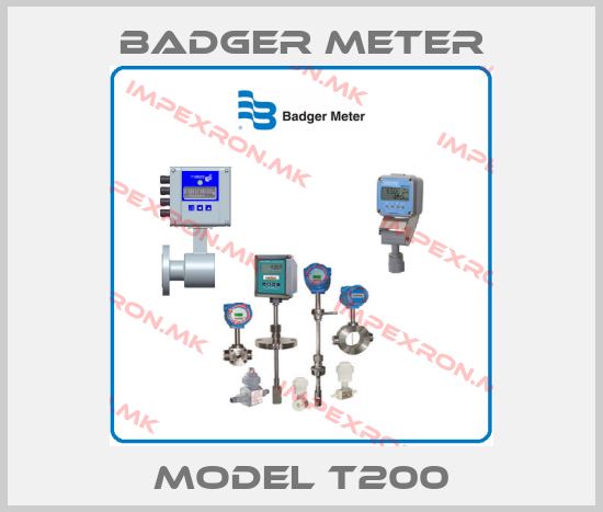 Badger Meter-MODEL T200price