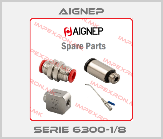 Aignep-SERIE 6300-1/8 price