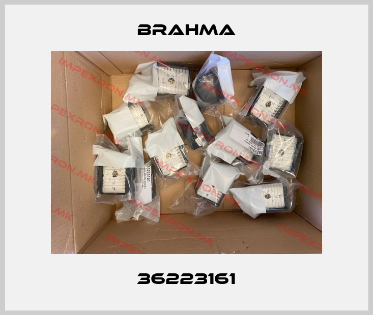 Brahma-36223161price