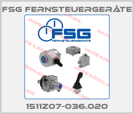 FSG Fernsteuergeräte Europe