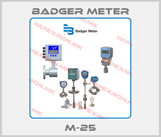 Badger Meter-M-25price