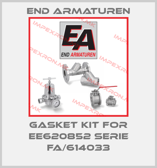 End Armaturen-Gasket kit for EE620852 serie FA/614033price