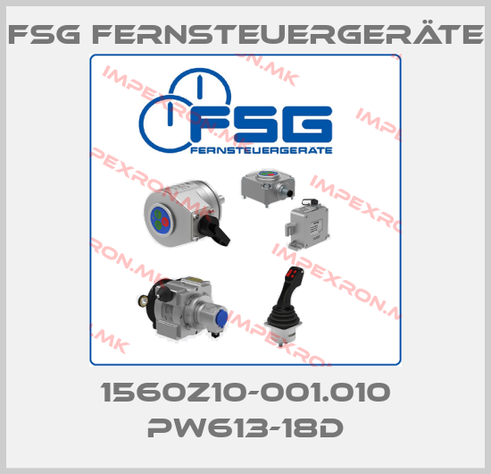 FSG Fernsteuergeräte Europe