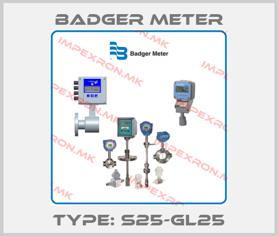 Badger Meter- Type: S25-GL25price