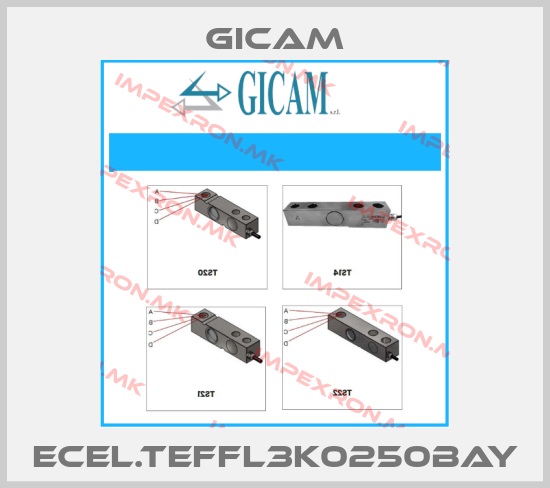 Gicam Europe