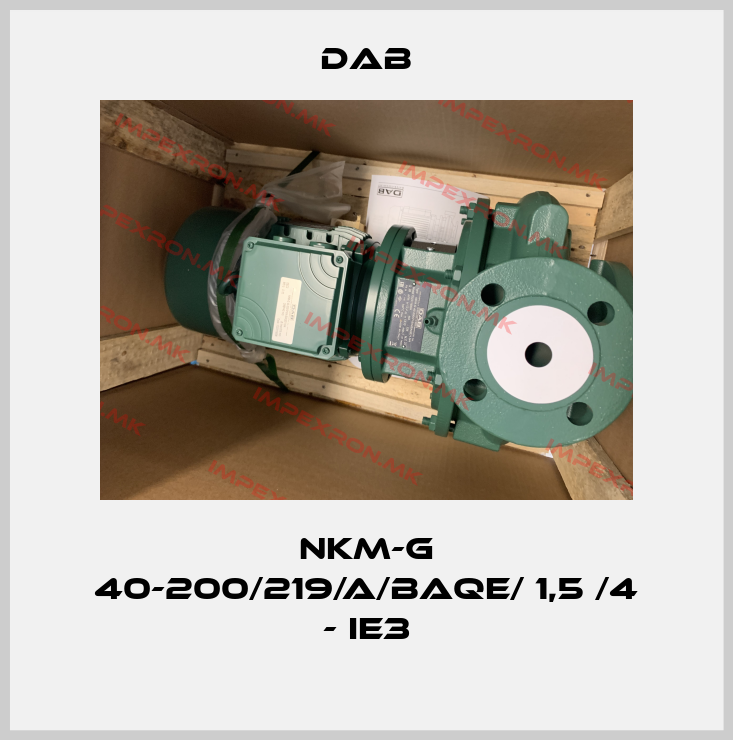 DAB-NKM-G 40-200/219/A/BAQE/ 1,5 /4 - IE3price