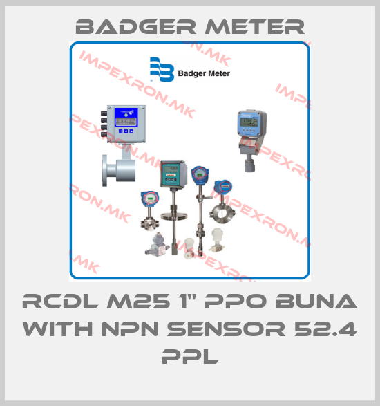 Badger Meter-RCDL M25 1" PPO Buna with NPN Sensor 52.4 PPLprice