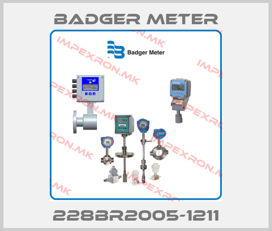 Badger Meter-228BR2005-1211price