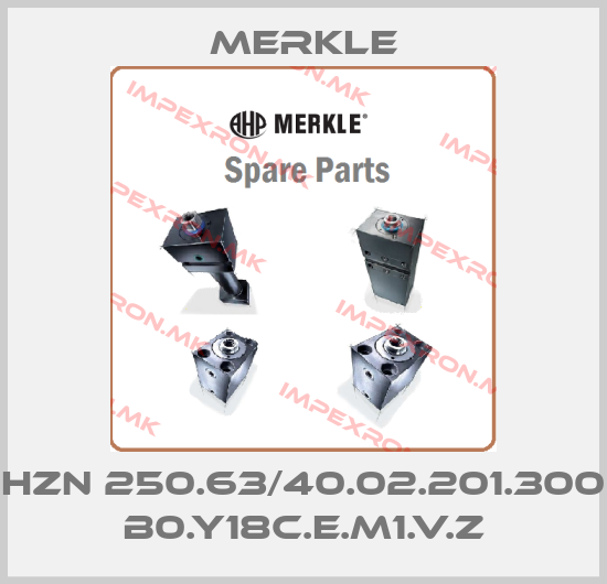 Merkle-HZN 250.63/40.02.201.300 B0.Y18C.E.M1.V.Zprice