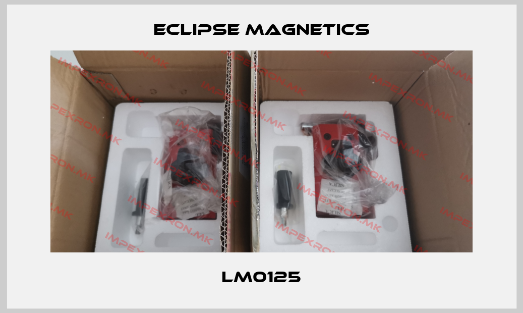 Eclipse Magnetics Europe