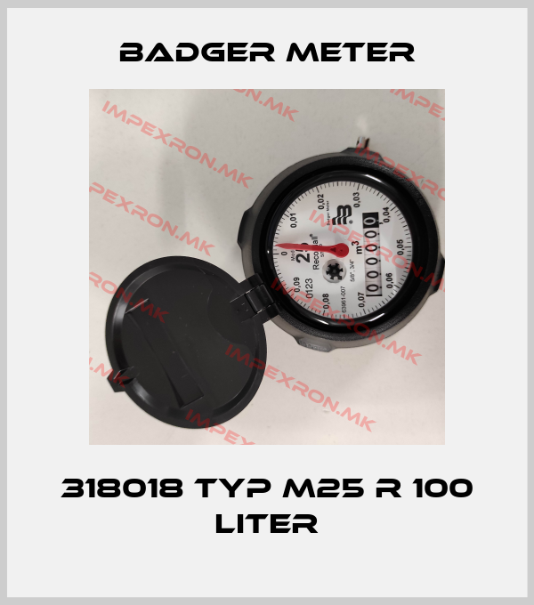 Badger Meter-318018 Typ M25 R 100 Literprice