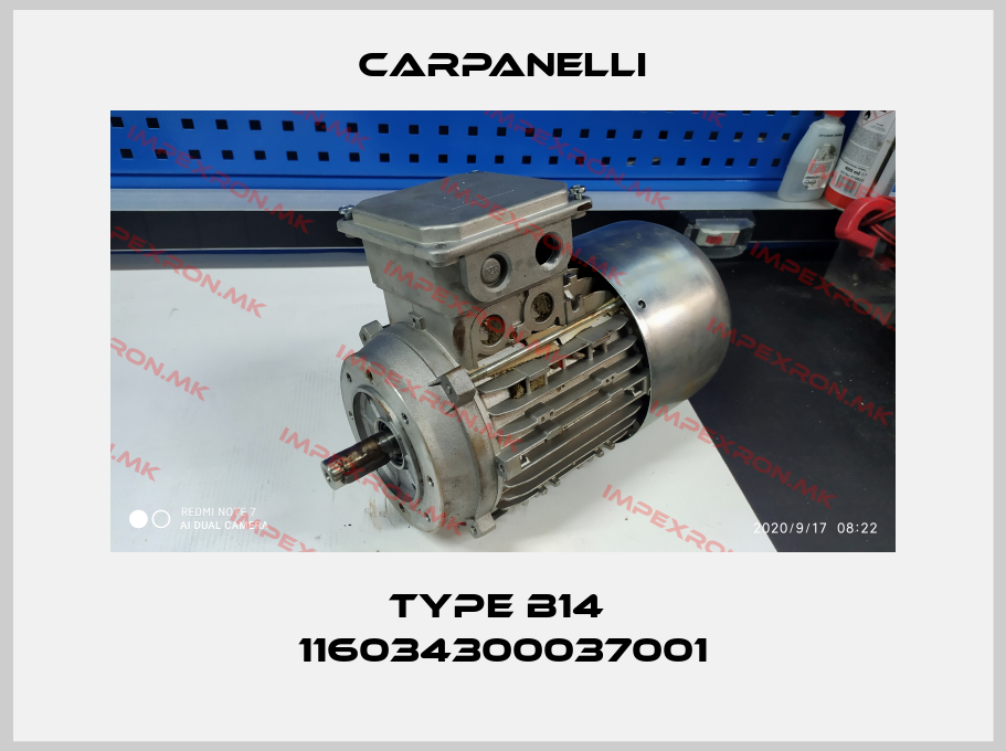 Carpanelli-TYPE B14  116034300037001price