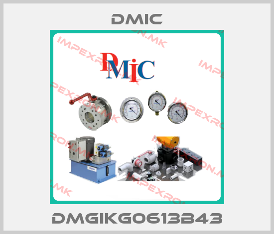 DMIC-DMGIKG0613B43price