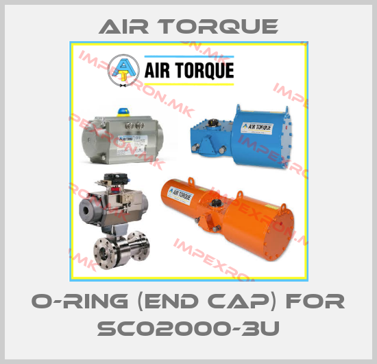 Air Torque-o-ring (end cap) for SC02000-3Uprice