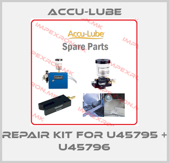 Accu-Lube-Repair kit for U45795 + U45796price