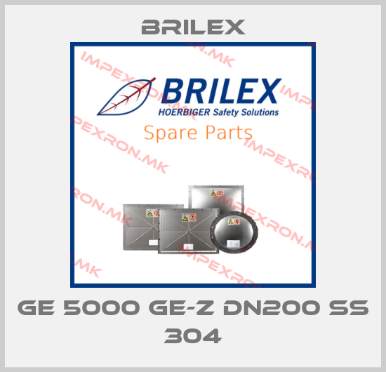 Brilex-GE 5000 GE-Z DN200 SS 304price