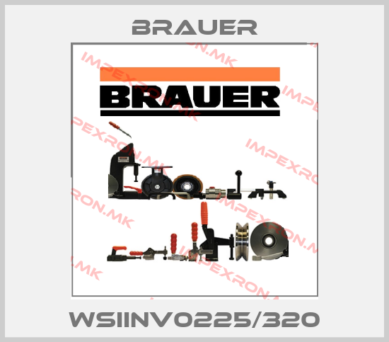 Brauer-WSIINV0225/320price