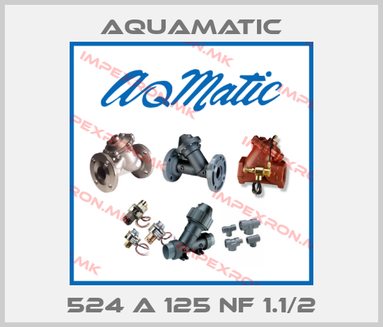 AquaMatic-524 A 125 NF 1.1/2price