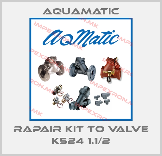 AquaMatic-Rapair Kit to valve K524 1.1/2price