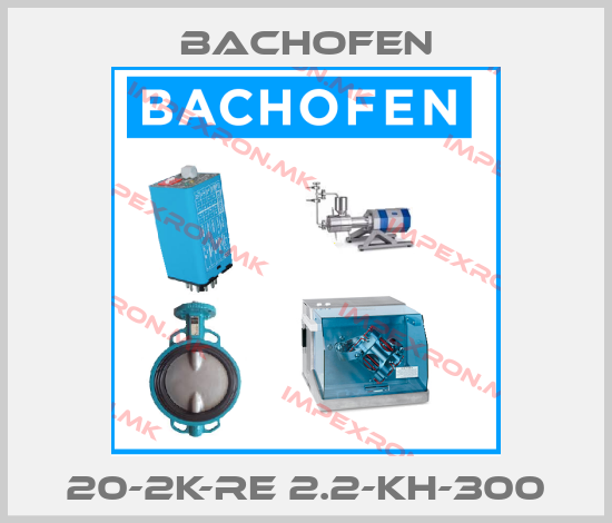 Bachofen-20-2K-RE 2.2-KH-300price